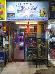 The description of nearby near me pet store. Pyramid Aqua System Pet Shop Kamothe Cleaning Services In Navi Mumbai Mumbai Justdial