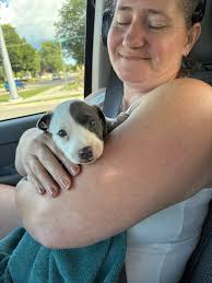 Does anyone know of a place who can appraise jewelry and how much does that  cost nowadays?