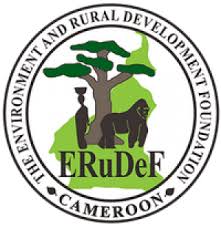 Image result for Afrostyrax