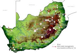 Image result for Limnophila bangweolensis