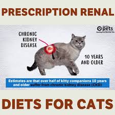 For more guidelines in making this food, go to www.catinfo.org. Dr Karen Becker Prescription Renal Diets For Cats Facebook