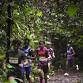 Tropical Rainforest Run event image