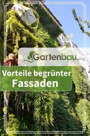 die begrunte fassade sorgt fur eine verbesserung der luftqualitat und sollte professionell umgesetzt werden fa fassade fassaden gestaltung fassadengestaltung