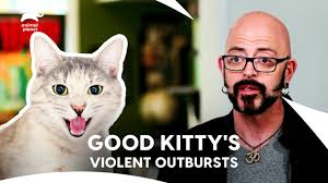 Good Kitty Vs Gangster Kitty's: Jackson Galaxy to the Rescue