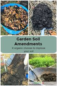 This is an initial step for you to determine the current state of. Garden Soil Amendments 6 Organic Choices To Improve Your Soil