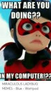 Miraculous Ladybug Memes English Funny This isn't a story, but i will be posting pictures of miraculous. miraculous ladybug memes english funny