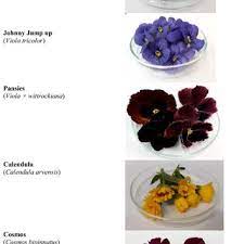 4.4 from | 6 reviews. Visual Appearance Of The Five Edible Flowers Download Scientific Diagram