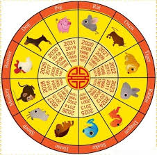 Chinese New Year 2019 Pig Animal Chinese New Year Zodiac