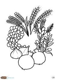 Challahcrumbs Downloadable Tu B Shvat Coloring Sheets Jewish Crafts Jewish Art Shavuot Crafts
