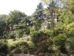 Führungen in diesem garten sind nach vereinbarung möglich. Botanischer Garten Duissern Duisburg Vegetation Daheim