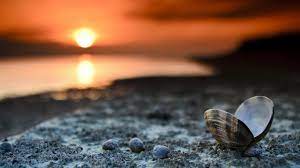 Wallpaper For Laptop Hd Wallpapers For Laptop Beach Sunset Wallpaper Landscape Wallpaper