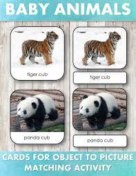 Baby Animals Safari Toob Montessori Nature Baby Animals Safari Baby Animals Baby Zebra
