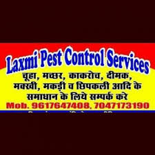 Top pest advisor is india's leading platform for connecting individuals looking for top quality pest control services. Laxmi Pest Control Servics Jabalpur Madhya Pradesh India