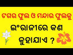 Hello kids, flowers are rose List Of Daily Use Fruits And Flowers Name In Odia Odisha Youtube