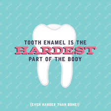 9135 s ridgeline blvd #120. Did You Know That Tooth Enamel Is The Hardest Substance In Your Entire Body Help Your Kids Enamel Stay Th Pediatric Dentistry Dental Quotes Dental Fun Facts