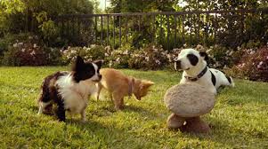 Chloe, a ritzy beverly hills chihuahua, gets lost in mexico while on vacation with her . Beverly Hills Chihuahua 3 Viva La Fiesta 2012 Yify Download Movie Torrent Yts