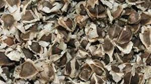 Image result for images Moringa Oleifera And Water Treatment
