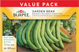 This very popular variety produces a dark green, stringless pod that is 6 or 7 inches long, round and sometimes slightly curved. Burpee Stringless Green Pod Bean Seeds 1 Count Food 4 Less