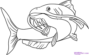 This zebra has taken a break from grazing to look at his. Cute Fish Drawing Black And White Novocom Top