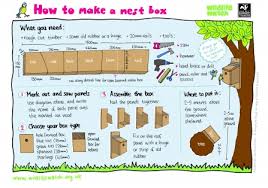 Image result for Flyte Blackbird Nest Box