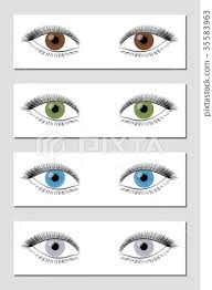 Eye Color Chart Brown Green Blue Gray Stock Illustration