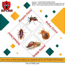 It is injection treatment targeted to control colony of termite situated underneath the soil. Bhubaneswar Pest Control Services Home Facebook