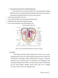 Sistem urinary adalah sistem organ yang memproduksi, menyimpan, dan mengalirkan urin. Jurnal Sistem Urinaria Gambar 8 6 Vesika Urinaria Evelyn C Pears 2011 Download Scientific Diagram Sistem Urinaria Sistem Urinaria Terdiri Atas Greg20966