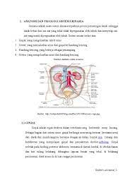 Sistem urin tersusun atas ginjal, ureter, vesica urinaria, dan urethra. Jurnal Sistem Urinaria Arrmelody Corner Perubahan Sistem Perkemihan Ibu Hamil Yang Wajib Diketahui Aktivasi Sistem Saraf Simpatik Meningkatkan Reabsorpsi Faut Ilpourlecoeur