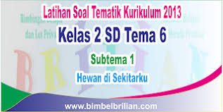 Soal Tematik Kelas 2 Sd Tema 6 Subtema 1 Hewan Di Sekitarku Dan Kunci Jawaban Bimbel Brilian