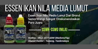 Essen Ikan Nila Media Lumut Terbaru Kualitas Super Premium Essen Ikan