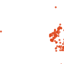 Image result for Raphidiocystis phyllocalyx