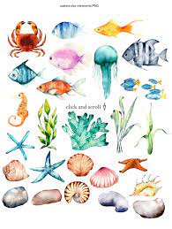 Sea Breeze Watercolor Set Coral Watercolor Watercolor Fish Sea Art