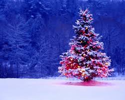 Only the best hd background pictures. Christmas Tree Wallpapers Free Wallpaper Cave