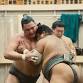 Tokyo Sumo Morning Practice/ Sumo Training with event image