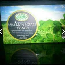 Beranda teh thailand t2 teh herbal centella (perbaikan kulit). Teh Herba Pegaga Hpa Shopee Indonesia