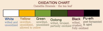 oolong tea vs green tea caffeine content weight loss