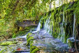 Here are my top 5 tennessee waterfall hikes with kids! Best Hiking Trails Near Nashville Tn Stunning Waterfall Hikes More Thrillist