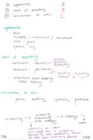 Image result for Pediatric Assessment Triangle