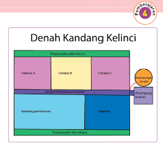 Sebelum melihat kunci jawaban, siswa harus terlebih dahulu menjawab soal sendiri. Jawaban Pembelajaran 4 Subtema 1 Tema 1 Kelas 5 Halaman 32 38 39 Operator Sekolah