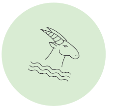 It's the kind of love that can grow over a lifetime. Cancer And Capricorn Compatibility Love Sex Life Horoscope Com