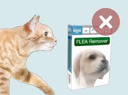 3 Ways To Treat Fleas In Young Kittens And Nursing Mothers