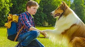 Trend Google: torna a casa lassie