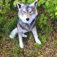 Pin On A Wican Pagan