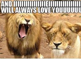 Just A Lion Singing To His Lady Meme Guy