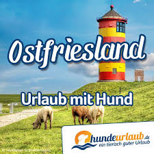 We did not find results for: Pin Auf Ostfriesland Urlaub Mit Hund