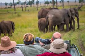 In fact, most of the species on this list are currently classified as either vulnerable or threatened and have far more to fear from humans than we do from. Animals In Kenya A Guide To 40 Species Of Kenyan Wildlife