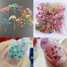 We did not find results for: 10pcs Mixed Dried Flowers Nail Art Decoration Diy 10 Colors Dry Flower Manicure Decoration For Uv Gel Acrylic Nail Art Tips Buy At The Price Of 0 98 In Aliexpress Com Imall Com
