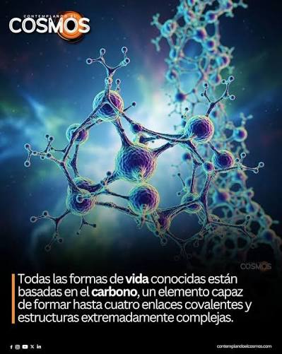 Ya en librerías "Carbono. El libro de la vida" de Paul Hawken. El carbono  es el único elemento del planeta que anima la totalidad del mundo vivo.  Aunque comprende una pequeña fracción
