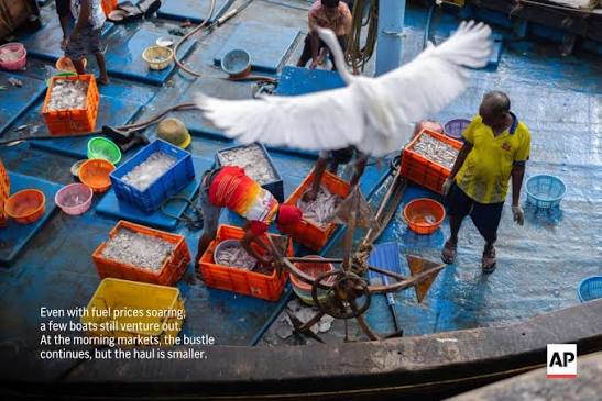Since it was first built in 1875, the Sassoon Dock in India's financial capital of Mumbai has been many things: a gateway for trade with the Persian Gulf, a bustling hub for