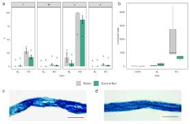 Check spelling or type a new query. Microorganisms Free Full Text Tomato Rna Seq Data Mining Reveals The Taxonomic And Functional Diversity Of Root Associated Microbiota Html
